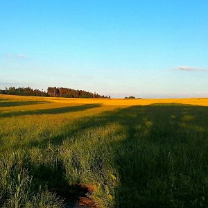 Torr na vrcholu Wirtsberg (4.6.2024 20:30)