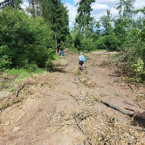 Mykas na vrcholu Lichajówka (22.6.2024 15:40)