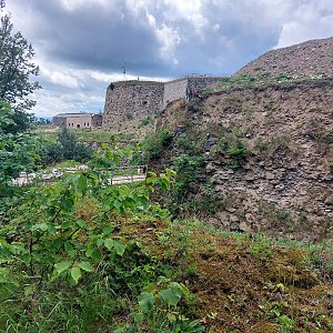 Mykas na vrcholu Warowna Góra (22.6.2024 12:30)