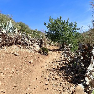 Shamot2014 na vrcholu Djebel Sharif Saifr (4.10.2023 16:30)