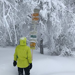 Radim na vrcholu Velký Lipový (5.1.2019)