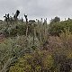 Shamot2014 na vrcholu Morro Guayacán (26.6.2018 16:06)