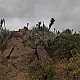 Shamot2014 na vrcholu Morro Guayacán (26.6.2018 16:06)