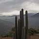 Shamot2014 na vrcholu Morro Guayacán (26.6.2018 16:06)