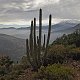 Shamot2014 na vrcholu Morro Guayacán (26.6.2018 16:06)