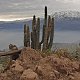 Shamot2014 na vrcholu Morro Guayacán (26.6.2018 16:06)