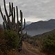 Shamot2014 na vrcholu Morro Guayacán (26.6.2018 16:06)