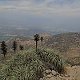 Shamot2014 na vrcholu Cerro de Manquhue (6.12.2015 14:19)