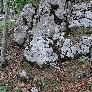 Jozef Farkaš na vrcholu Vojak - S vrchol  (24.6.2024 13:51)