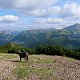 Šárka na vrcholu Lúčna (13.9.2020 15:04)