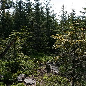 Bouřka na vrcholu V Pařezí - S vrchol (23.5.2018 9:15)