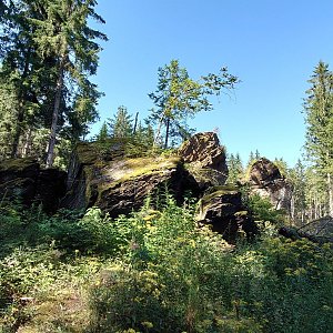 Nojby na vrcholu Ochsenkopf (30.7.2024 16:31)