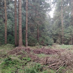 Martin Suchopár na vrcholu Jelení vrch - SZ vrchol (27.10.2024 12:53)