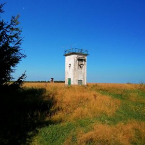 Torr na vrcholu Oldřišský vrch  (24.8.2024 9:20)