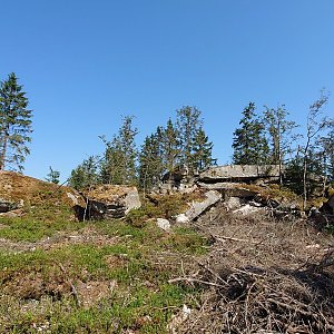 Nojby na vrcholu Burgstein (13.8.2024 11:01)