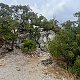 Jozef Farkaš na vrcholu Laszló-kúpja  (17.8.2024 11:30)