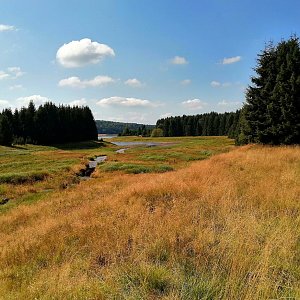 Torr na vrcholu Nad Flájskou přehradou  (20.8.2024 14:20)