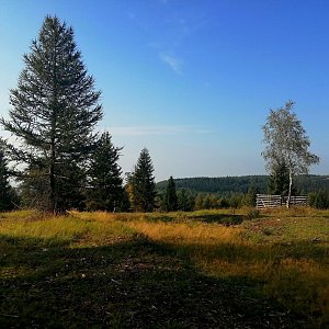 Torr na vrcholu Uhliště  (28.8.2024 8:45)