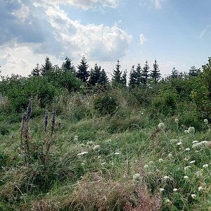 Nojby na vrcholu Halde Schneckensteinschacht (1.9.2024 14:55)