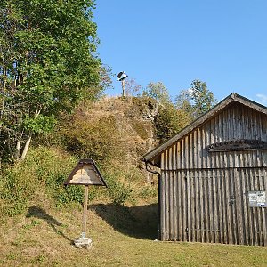 Nojby na vrcholu Galgenberg (5.9.2024 16:41)