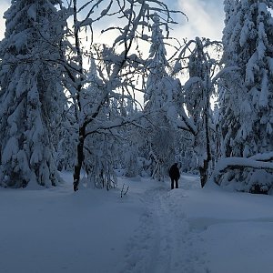 Bouřka na vrcholu Dvorský les (22.1.2021 10:20)