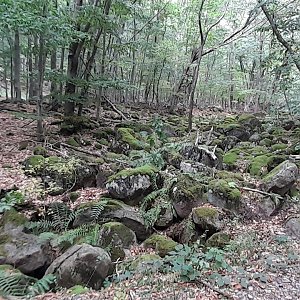 Jozef Farkaš na vrcholu Červený vrch (7.9.2024 14:00)