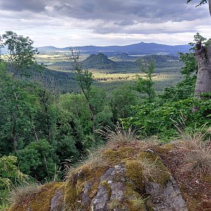 Mykas na vrcholu Velký Jelení vrch (16.6.2024 19:16)