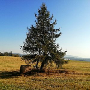 Torr na vrcholu Klenovčík  (18.9.2024 9:15)