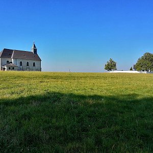 Torr na vrcholu Malohájský vrch (20.9.2024 10:45)