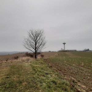 ZdenkaV na vrcholu Hranečník (28.11.2024 13:51)