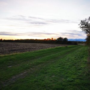 Jiří Králík na vrcholu Kadolecký kopec (9.10.2024 18:17)