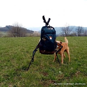 Jiřina na vrcholu Fojtovy vrchy (16.4.2022 15:20)