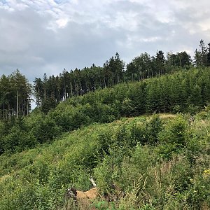 Martin Matějka na vrcholu Vysoký kámen / Slepice (2.8.2020 19:12)