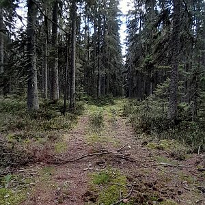 Jozef Farkaš na vrcholu Hůrka (28.7.2024 14:55)