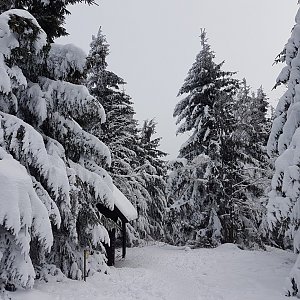 Marcela Kubíčková na vrcholu Vysoká (29.1.2023 12:25)