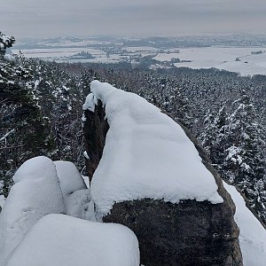 Mykas na vrcholu Přivýšina (20.1.2023 17:05)