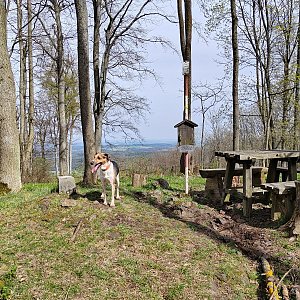 Figgo na vrcholu Běleč (7.4.2024 11:30)