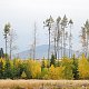 Bohumír Michal na vrcholu Venušina sopka (20.10.2018 6:10)