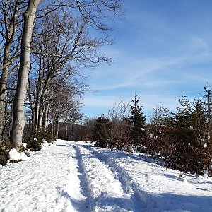 ZdenkaV na vrcholu Hodorf (1.2.2021)