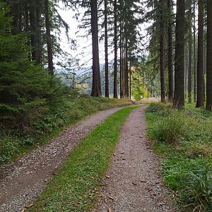 Gregořicovi na vrcholu Okrouhlice (10.10.2021 11:55)