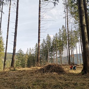 Šárka na vrcholu Kyčera (25.2.2024 11:55)