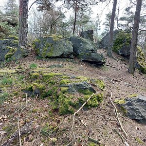 Mykas na vrcholu Kozí kámen (29.3.2024 13:31)