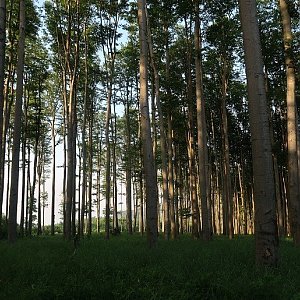 Bouřka na vrcholu Čerešienky (23.6.2021 19:28)