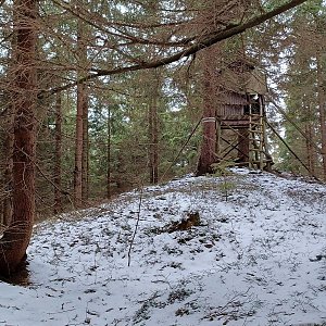 PA!WELL na vrcholu Malý Lučný (5.3.2023 15:13)