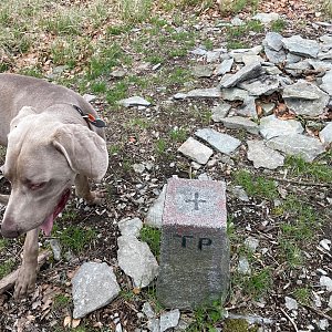 Tonda, Peťule a Fram na vrcholu Milešovský kloc (29.4.2023 14:12)