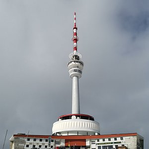 Šárka na vrcholu Praděd (24.3.2024 10:05)