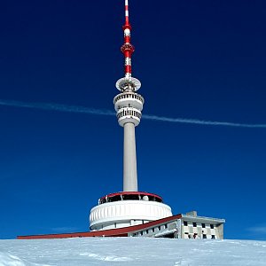 Alda na vrcholu Praděd (16.2.2019 12:21)