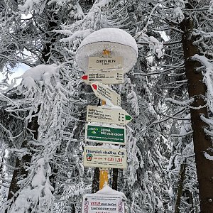 Radim Fcb na vrcholu Čertův mlýn (10.1.2021 11:52)