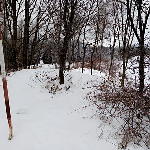 Jiřina na vrcholu Hrad (16.2.2021 11:10)