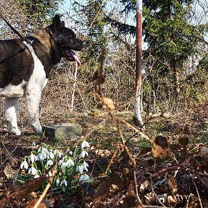 Jiřina na vrcholu Hrad (30.3.2021 10:37)